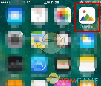 连云港连岛回应大量飞虫是无害食蚜蝇